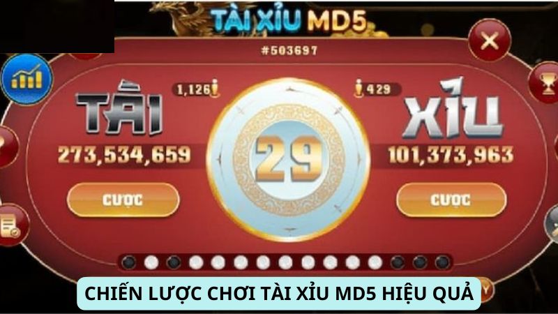 Chiến lược chơi Tài Xỉu MD5 hiệu quả